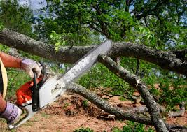 Professional Tree Removal and Landscaping Services in High Ridge, MO